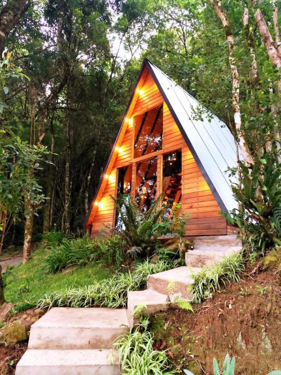 a small wooden cabin with stairs in a forest at Chalé Passione in Gramado