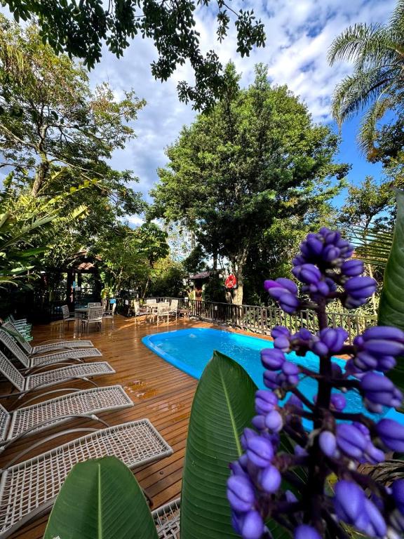 a resort pool with chairs and a purple flower at Hotel Natur Campeche in Florianópolis