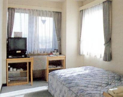 TV a/nebo společenská místnost v ubytování Hotel Heisei