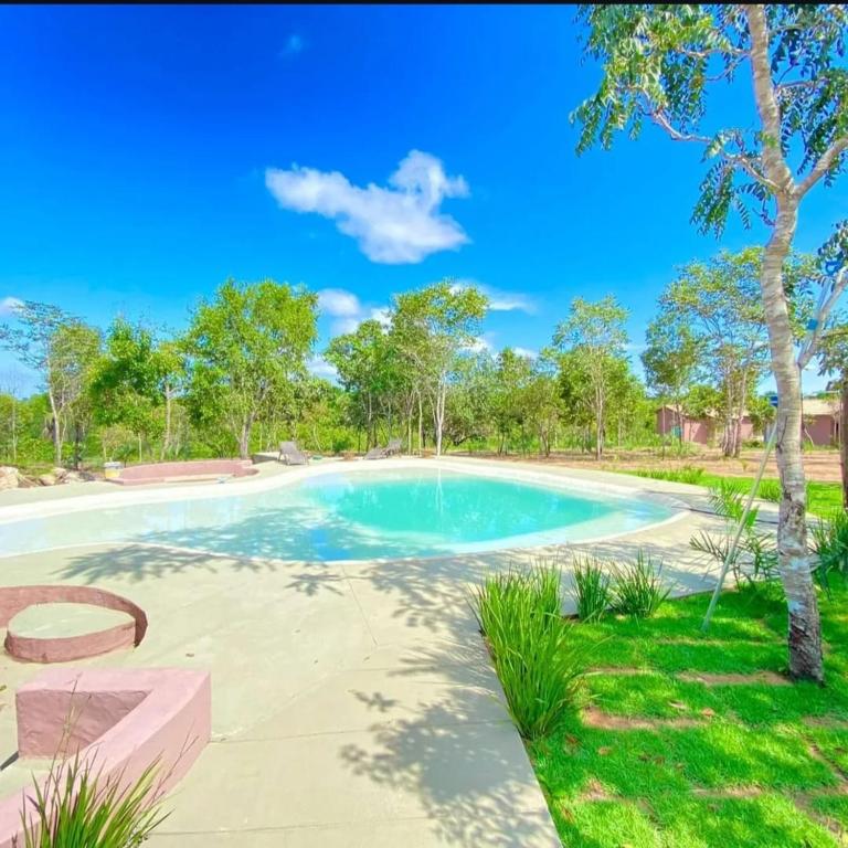 a swimming pool in a yard with a tree at Pousada Vereda Encantada in São Félix do Tocantins