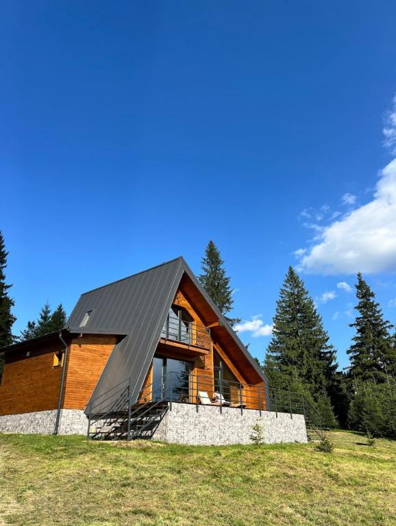 a house with a black roof on a hill at Carpathic Chalet in Comandău