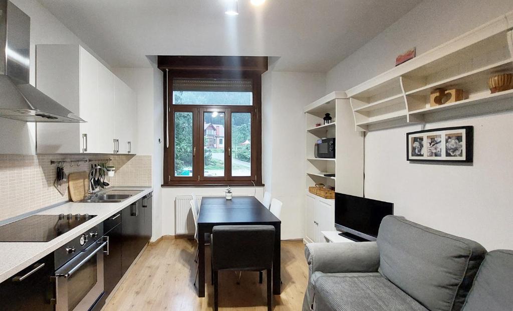 a kitchen with a table and a couch in a room at Palazzo Piccolo in Cave del Predil