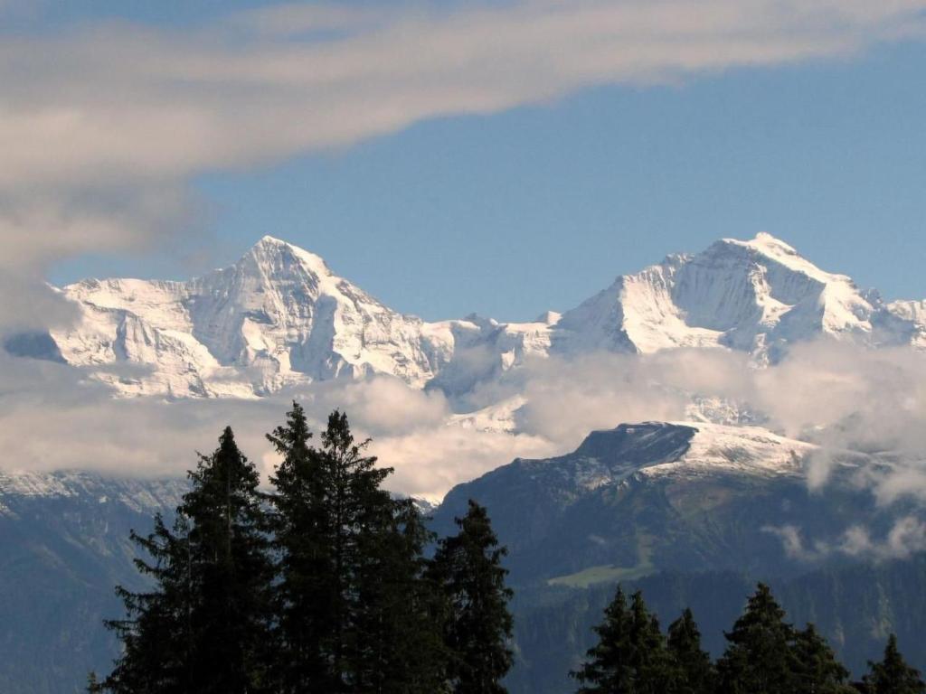 a snow covered mountain with trees in the foreground at Apartment Panorama-Beatenberg by Interhome in Beatenberg
