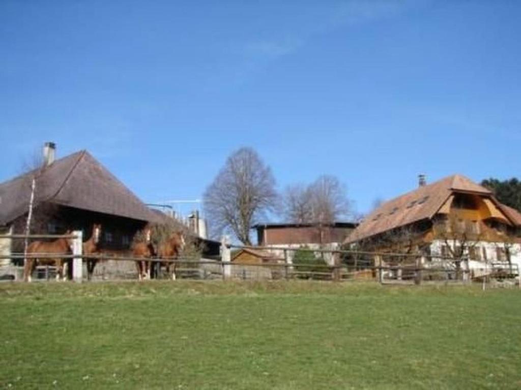 a group of horses standing in a field next to buildings at Apartment Muessache by Interhome in Dürrenroth