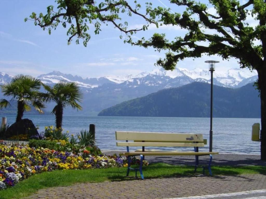 a park bench with a view of the water and mountains at Apartment Studio Rubi Weggis by Interhome in Weggis