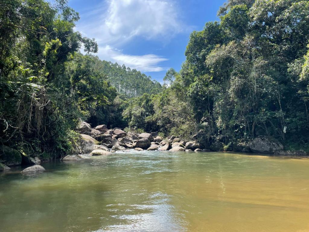 a river in the middle of a forest at Sítio em São Bonifácio in Alto Rio Bravo