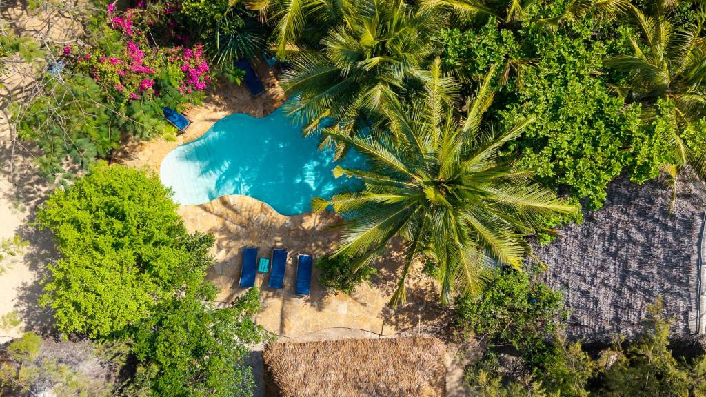 an overhead view of a swimming pool with palm trees at Demani Lodge Zanzibar in Paje
