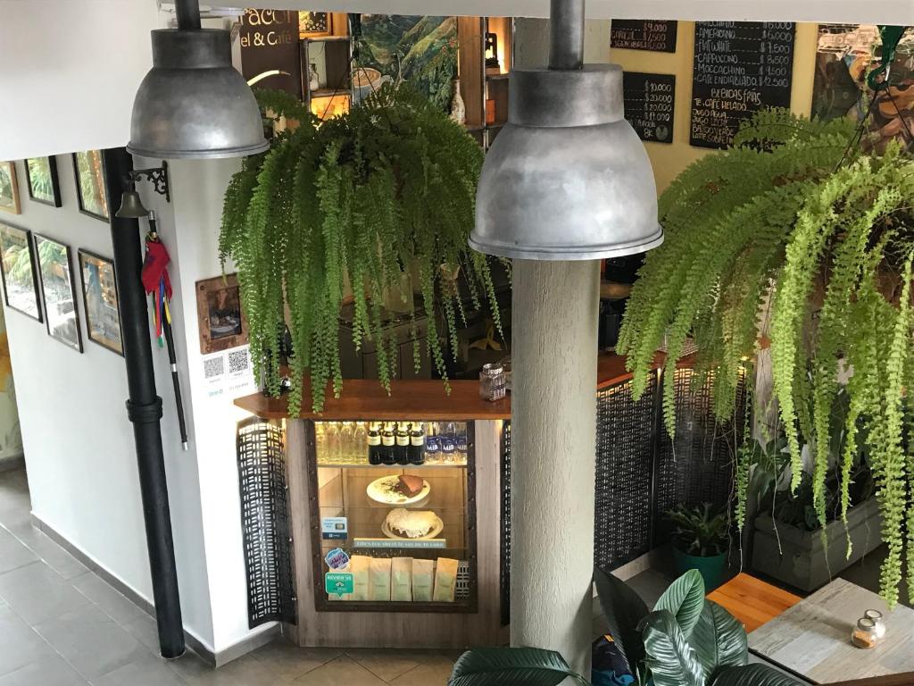 two metal potted plants in a store at El Caracol in Popayan