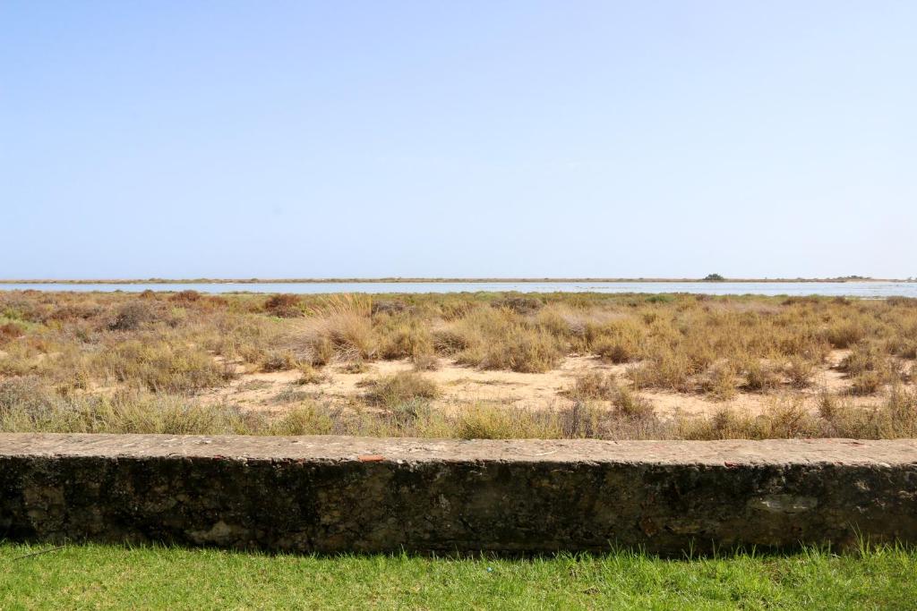 una panchina di pietra in mezzo a un campo di Cabana da Ria a Cabanas de Tavira
