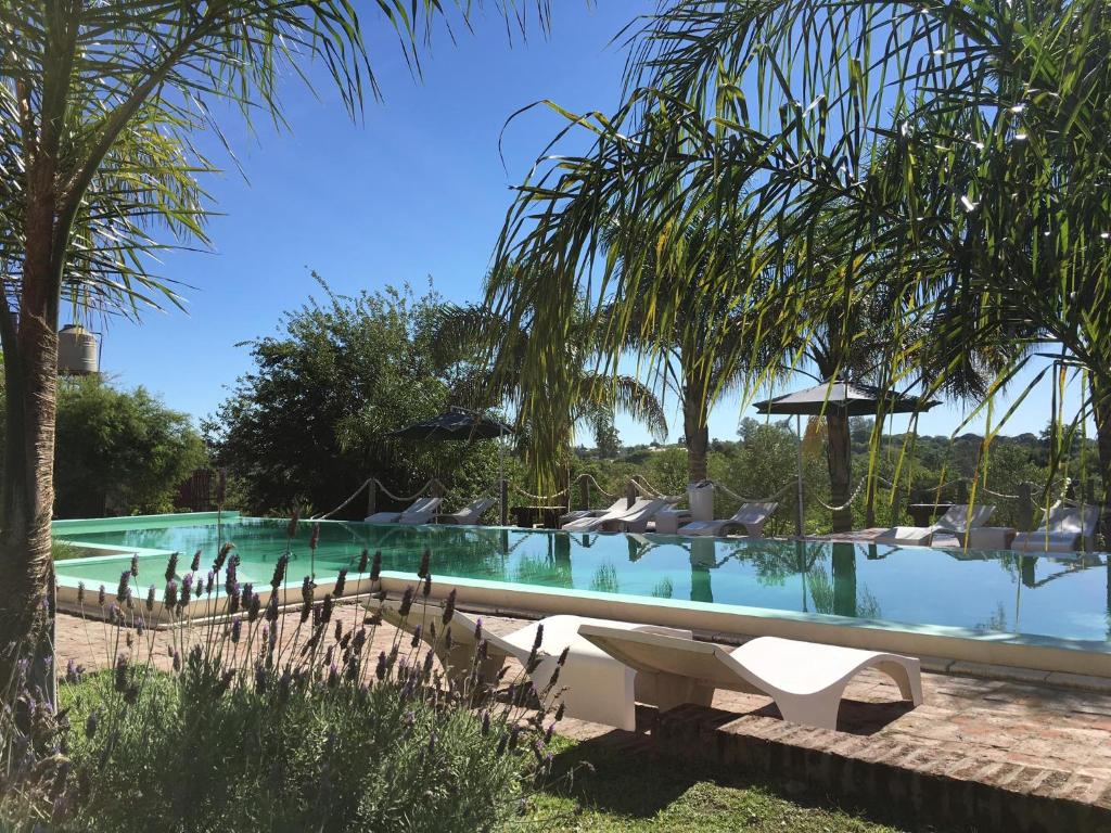 a swimming pool with chairs and palm trees at Hotel La Cautiva de Ramirez in La Paz