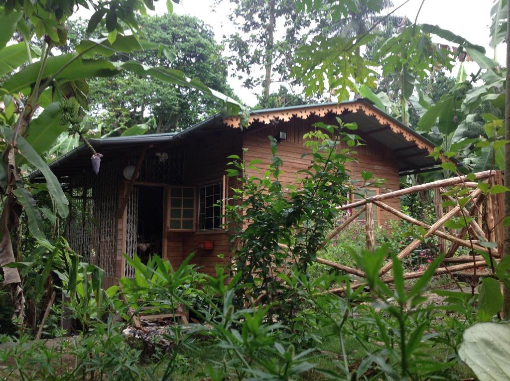 una piccola casa in legno nella giungla di Casa Ediana a Trindade
