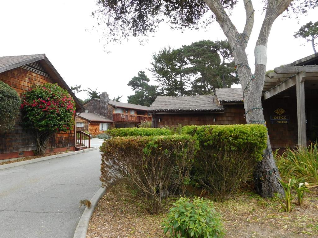 Pacific Gardens Inn photo
