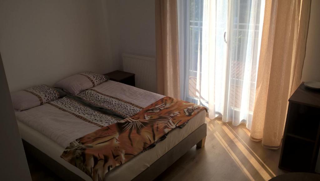 AQUILA Pokoje Gościnne - 18