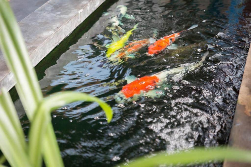 Memory Boutique Patong - Resim 38