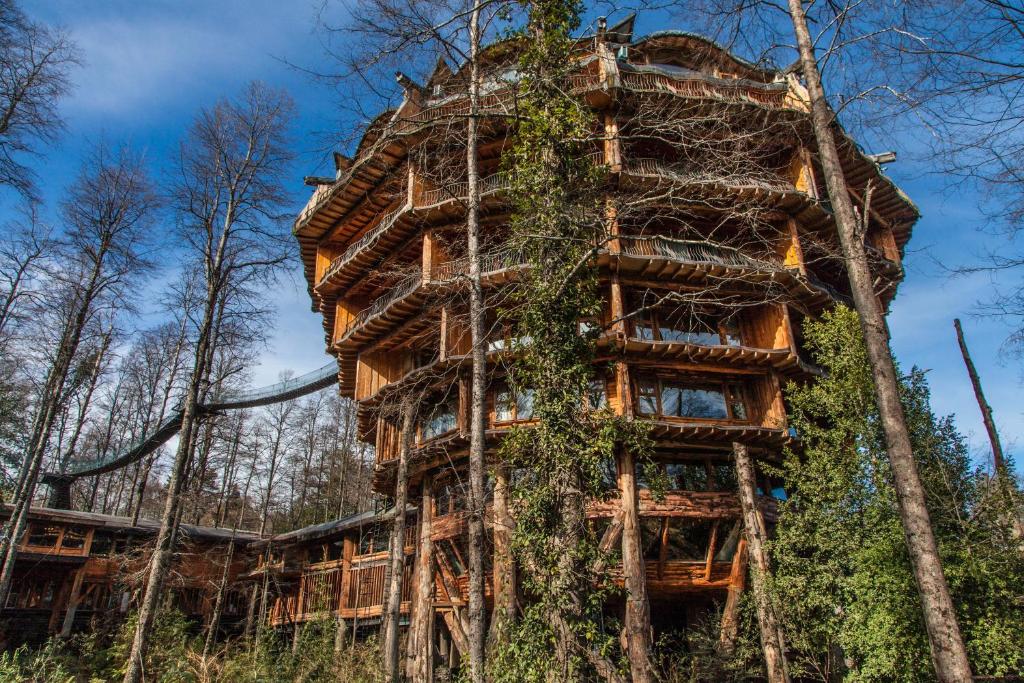 une cabane dans les arbres inachevée dans les bois dans l'établissement Huilo Huilo Nothofagus Hotel & Spa, à Réserve biologique de Huilo-Huilo