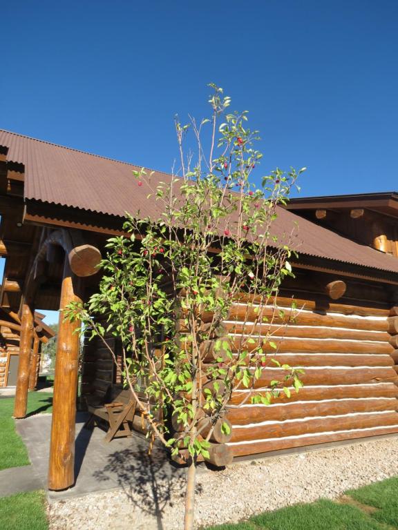 Zahrada ubytování Kodiak Mountain Resort