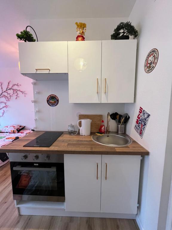 Le 10 - Studio Tokyo, tout équipé Mulhouse centre - stationnement gratuit – photo 4