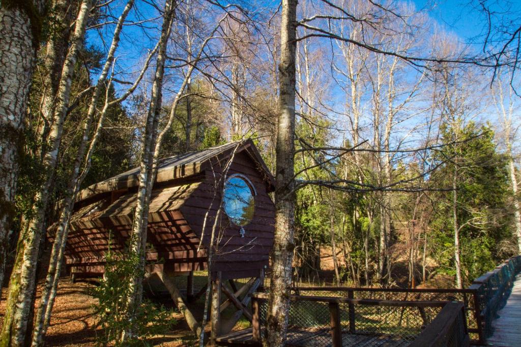 a tree house in the middle of the woods at Huilo Huilo Canopy Village in Huilo Huilo