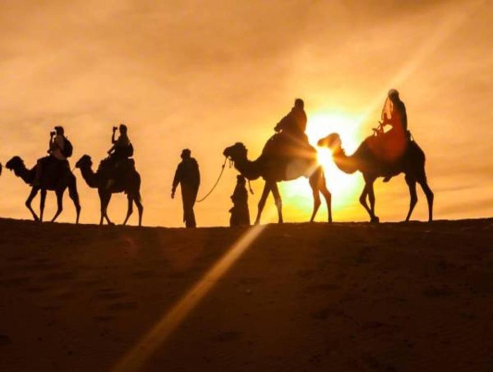 a group of people riding horses in the desert at Sahara Peace in Mhamid
