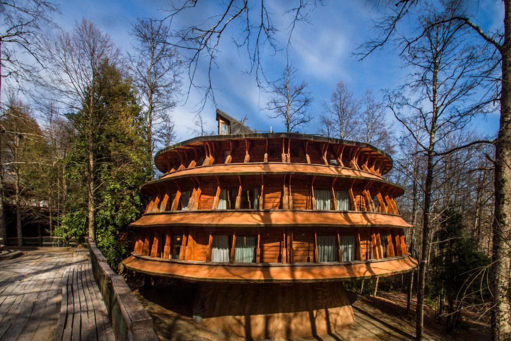 une cabane dans les arbres au milieu d'une forêt dans l'établissement Huilo Huilo Reino Fungi, à Réserve biologique de Huilo-Huilo