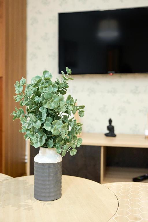 Apartamento Madrid Centro - 17