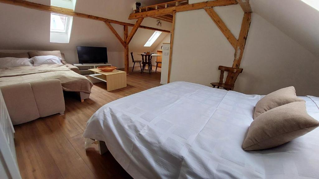 Large Private Room Near Colmar Center with Free Public Parking – photo 30