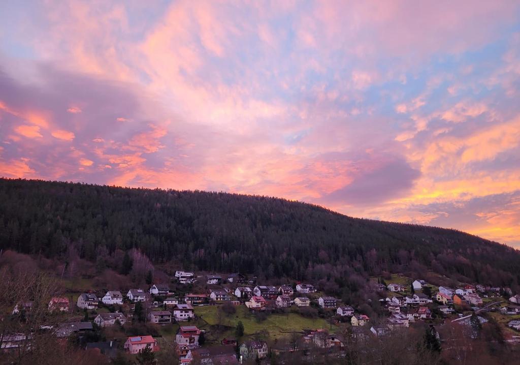 a group of houses on a hill at sunset at Himmelsnest in Bad Wildbad