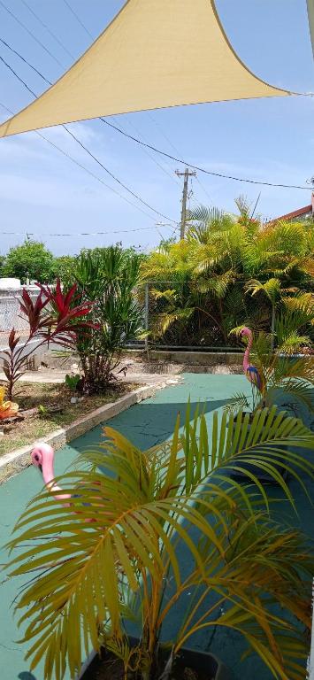 Casa Costa Sur photo