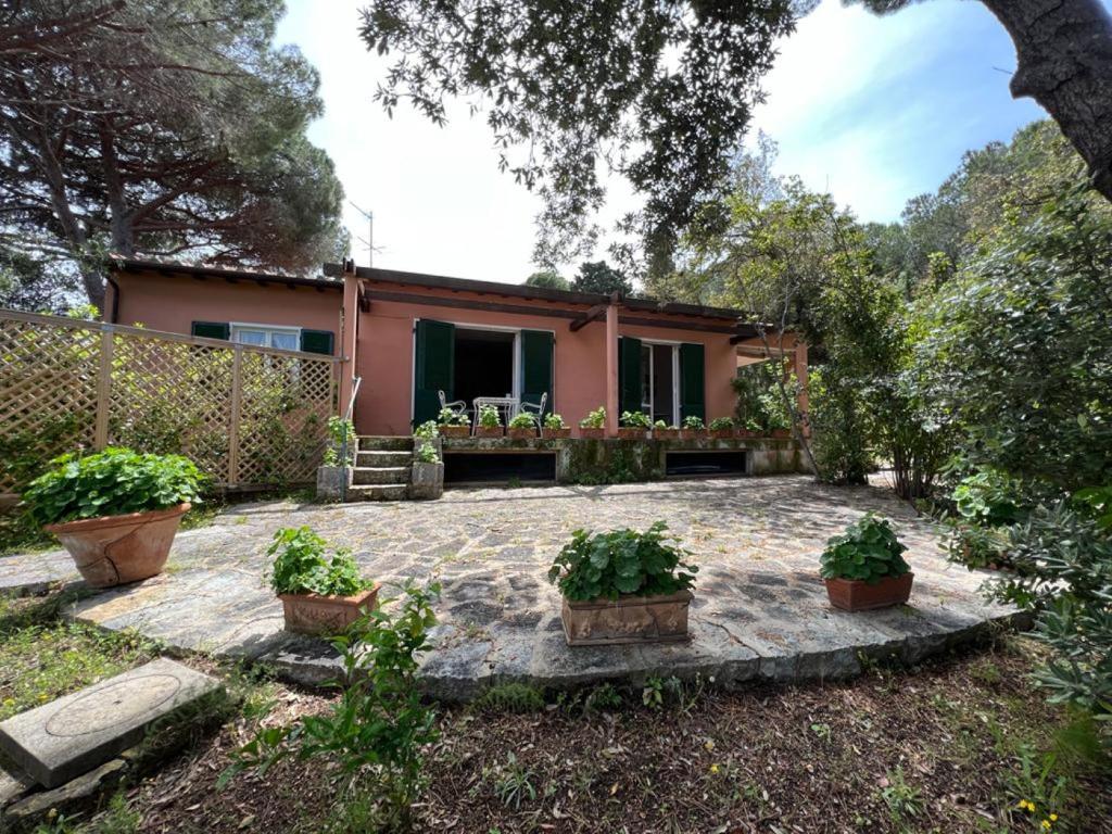a house with two potted plants in front of it at Villa vista mare in Procchio