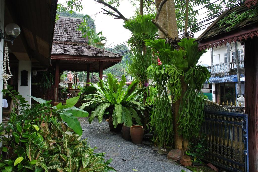 un jardín con plantas y un cenador en Phang-Nga Inn Guesthouse en Phangnga