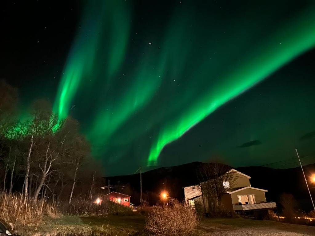 an image of the northern lights in the sky at Large apartment with great views in Senja