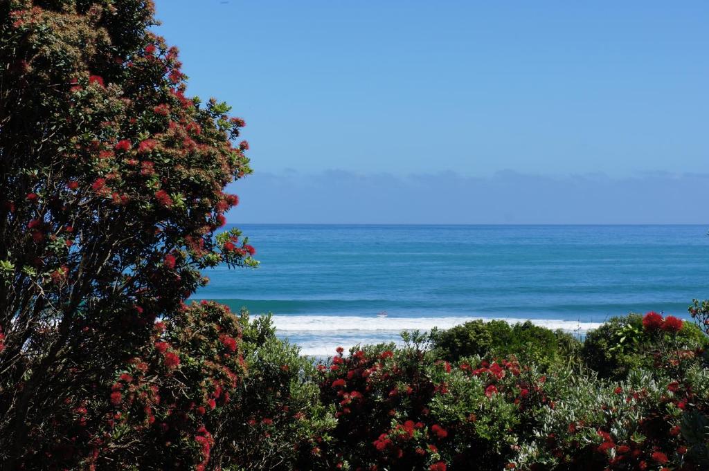 Fitzroy Beach Holiday Park - Resim 10