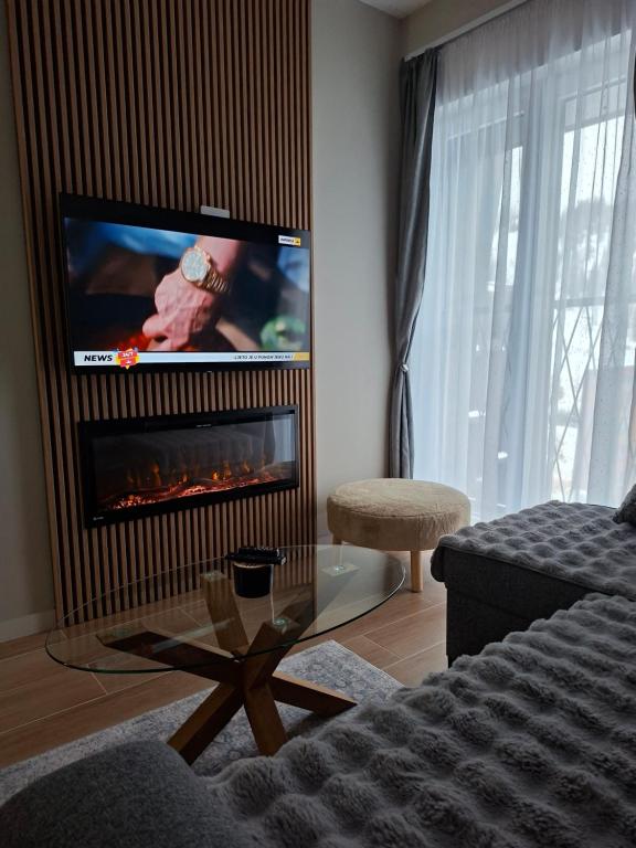 a living room with a fireplace and a tv at Jahorina Lux in Jahorina