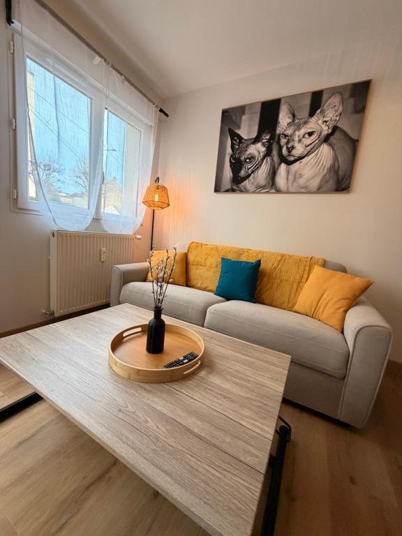 Appartement cosy au cœur du Mans Proche Centre-Ville