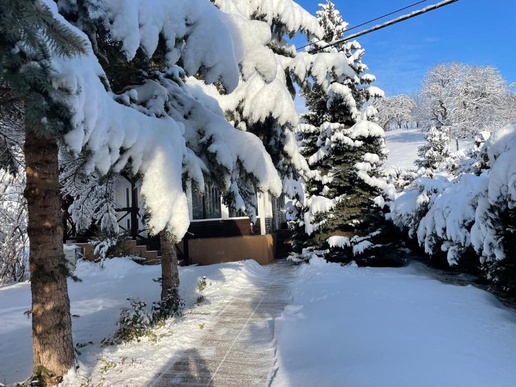 a snow covered yard with a house and trees at Lux Faház in Parád