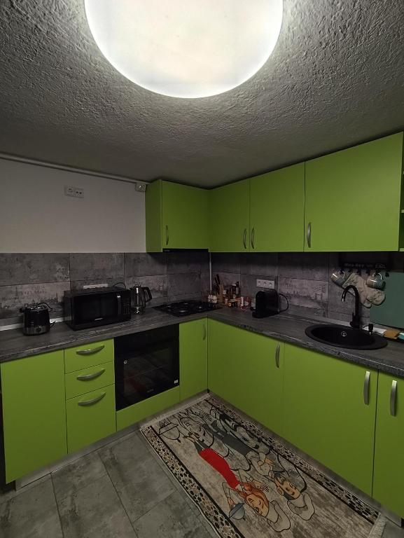a kitchen with green cabinets and a sink at Torok Adrian Mihail PFA in Râşnov