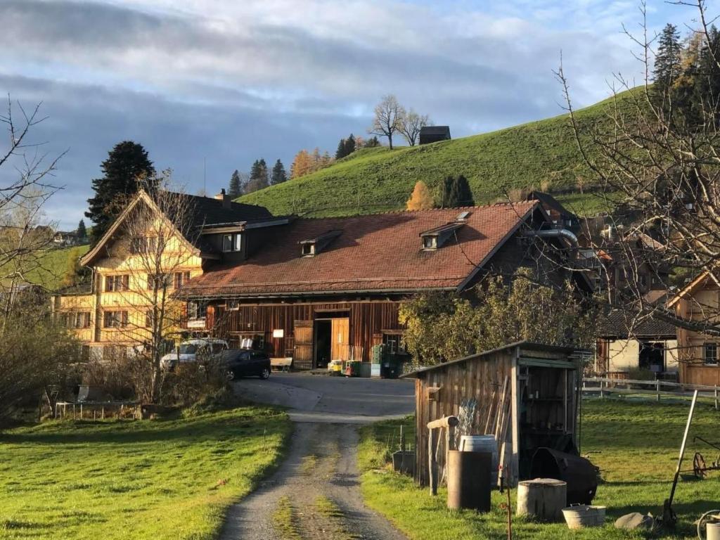 a house with a grassy hill behind it at Apartment Hof Bommes by Interhome in Gais