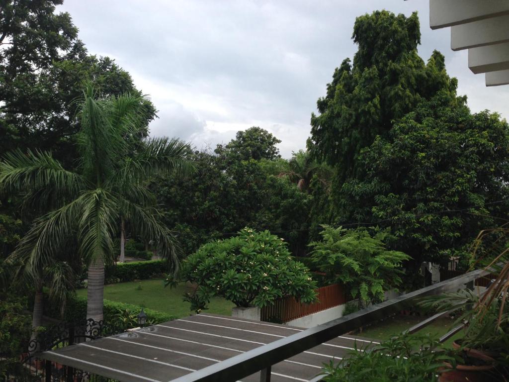 a view of a garden with palm trees at Luxurious Homestay- Chandīgarh in Chandīgarh