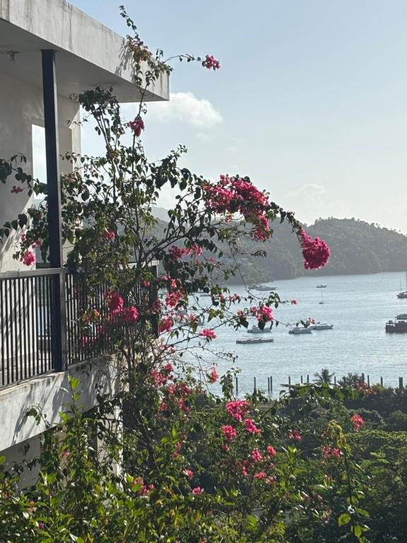a building with pink flowers and a view of the water at Villa Aurora Samaná in Santa Bárbara de Samaná