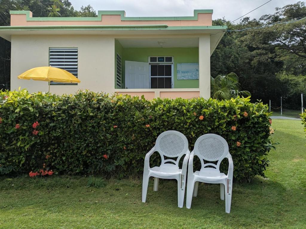 two chairs sitting in the grass in front of a house at Fajardo Peaceful Place in Playa Sardinera