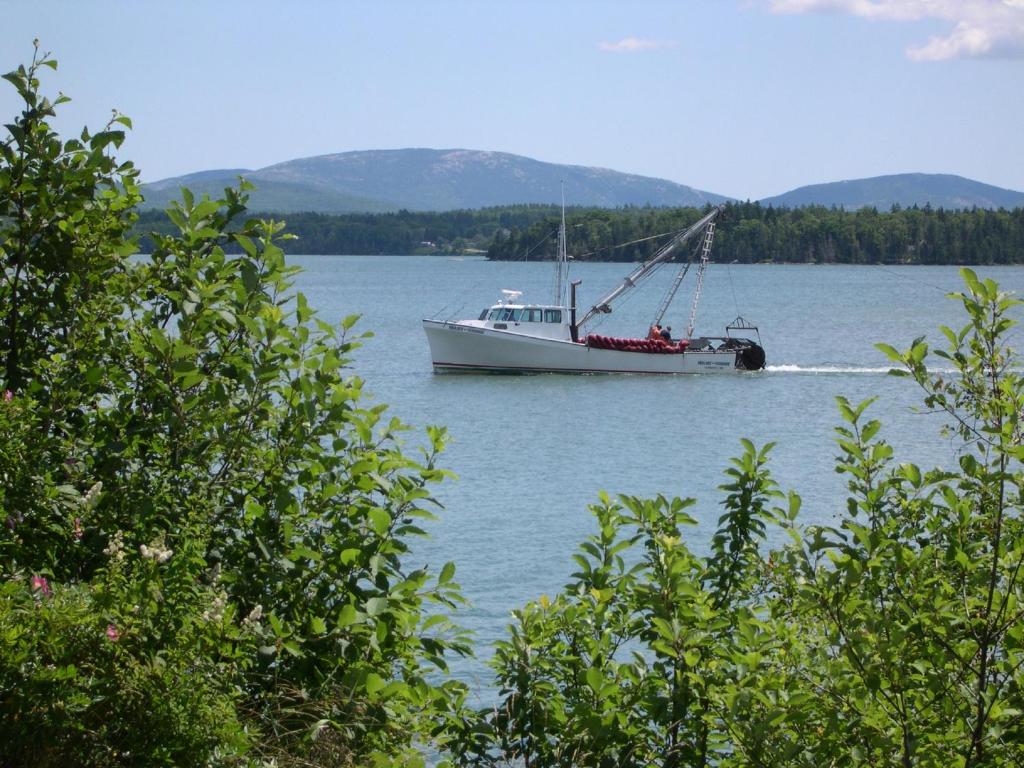 un barco sentado en el agua en un lago en Narrows Too Camping Resort Cabin 6 en Trenton