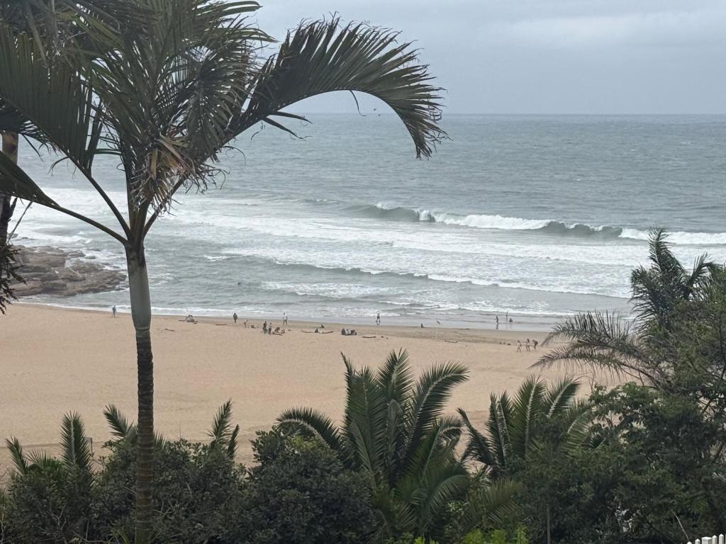 a beach with a palm tree and people on the beach at 64 Laguna La Crete in Uvongo Beach
