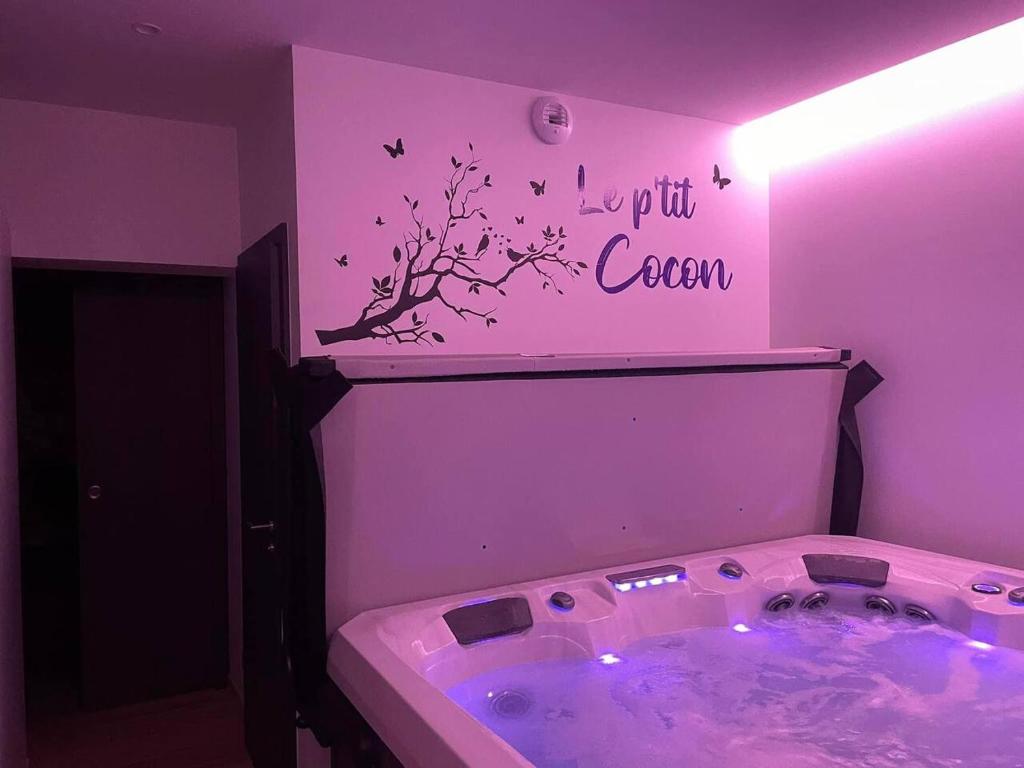 a bathroom with a tub with a tree and birds on the wall at Studio 3 étoiles avec grand JACUZZI PRIVÉ in Horbourg