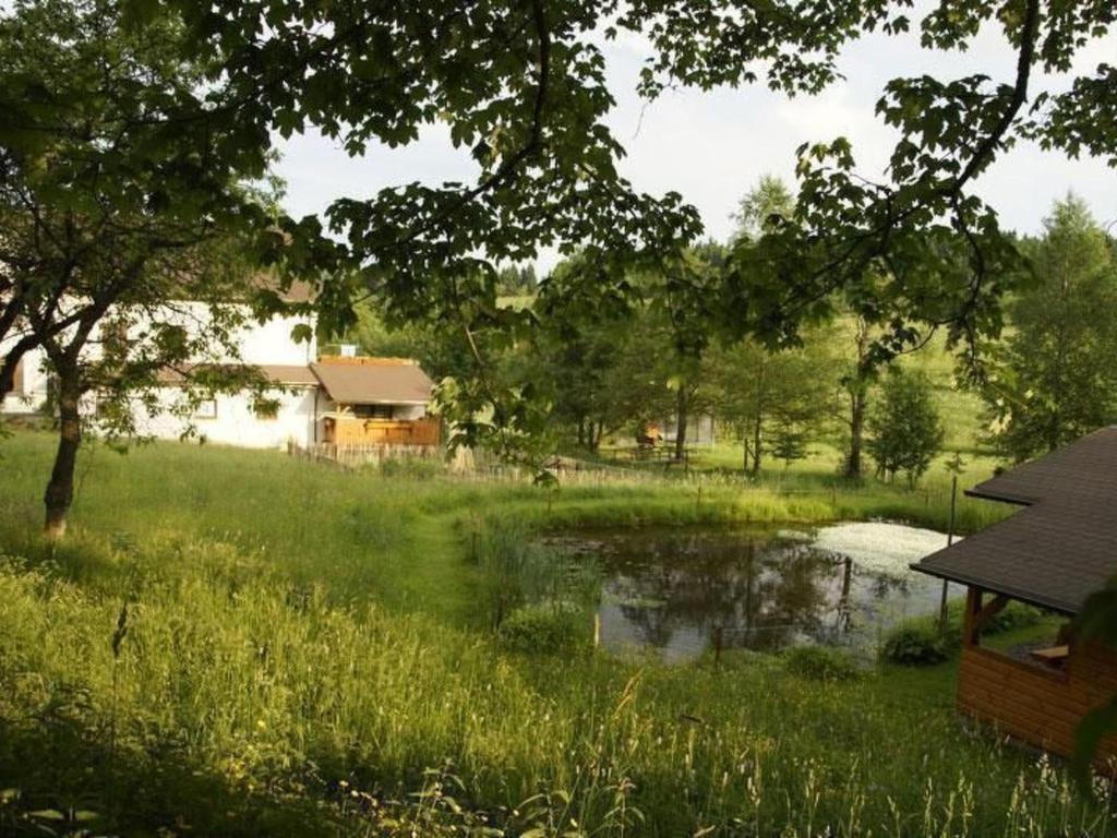 a pond in the middle of a field with a house at Apartment Wiesengrund by Interhome in Neuhaus am Rennweg