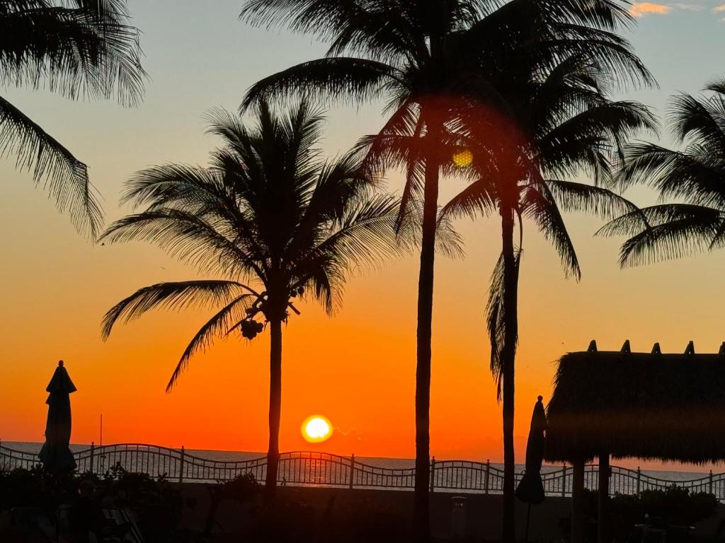 a sunset on the beach with palm trees at Oceanfront retreat, Hollywood Beach ,Miami Florida in Hollywood