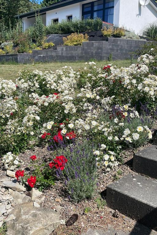 a garden of flowers in front of a house at Holiday Home Feriendorf E44 by Interhome in Husen
