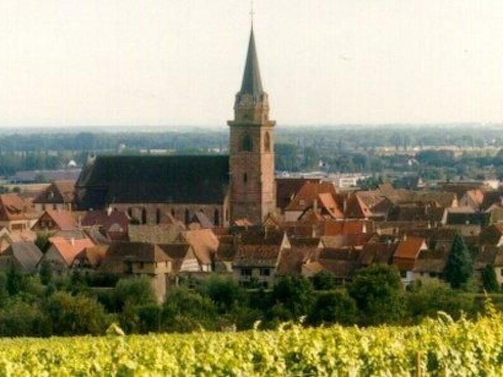 Holiday Home La Maison Bleue im Zentrum des Elsass in Bergheim by Interhome – photo 17