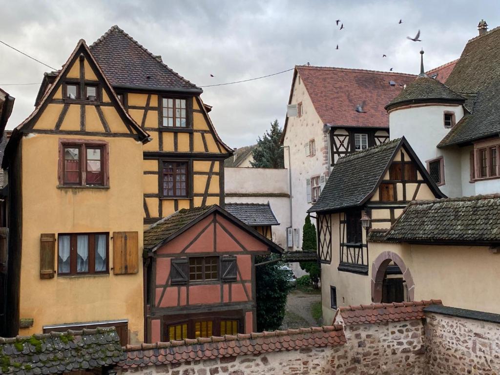 Apartment Bugatti in Riquewihr by Interhome – photo 14