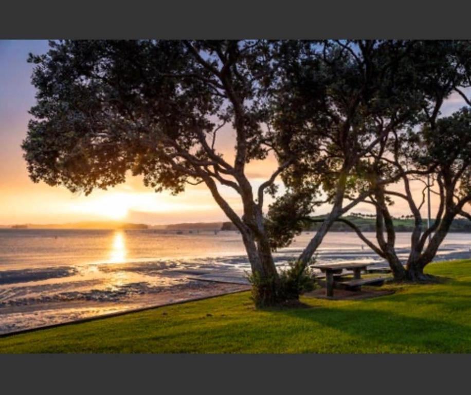 a park bench under two trees next to the ocean at Beachfront Bliss in Snells Beach