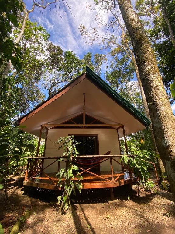 a small tent in the middle of a forest at Monkey House, Monterrey in San Cristóbal